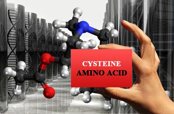 amino acids cysteine