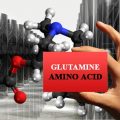amino acids glutamine