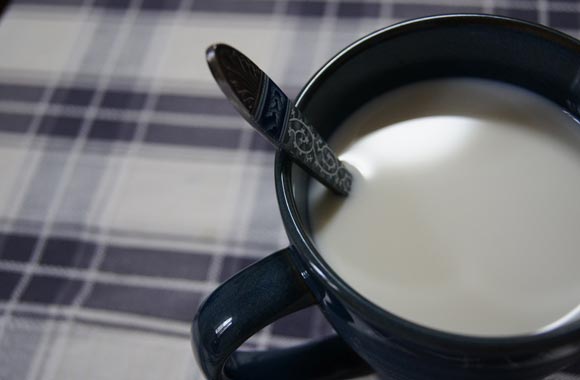 energy food milk