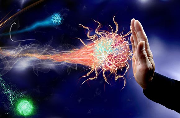 immune system