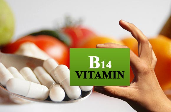 vitamin b14