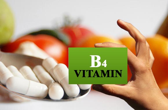 vitamin b4