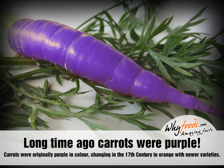 Amazing Carrot Facts