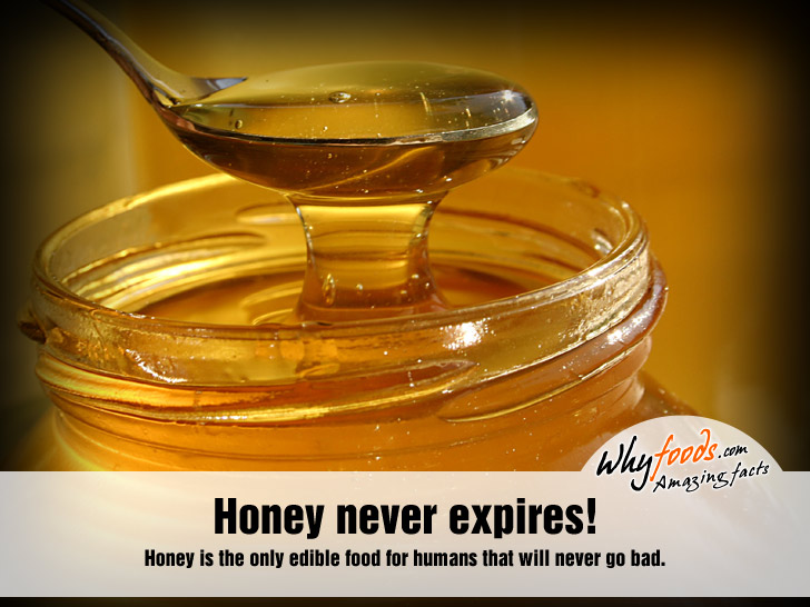 Amazing Honey Facts