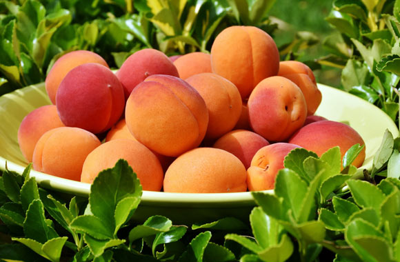 Apricots Benefits