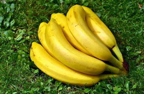 Banana Benefits