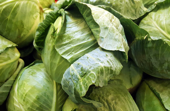 health benefits of vegetables cabbage