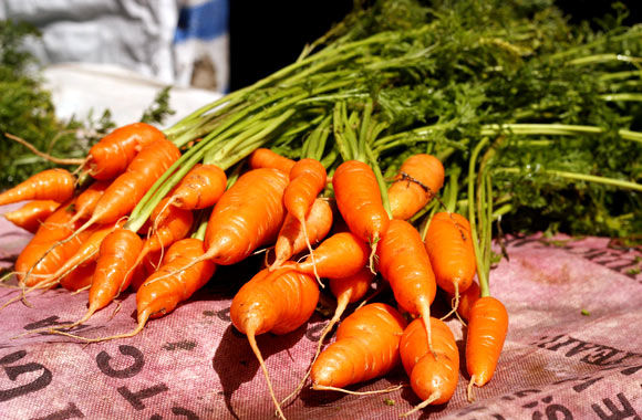health benefits of roots carrots