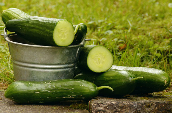 health benefits of fruits cucumbers