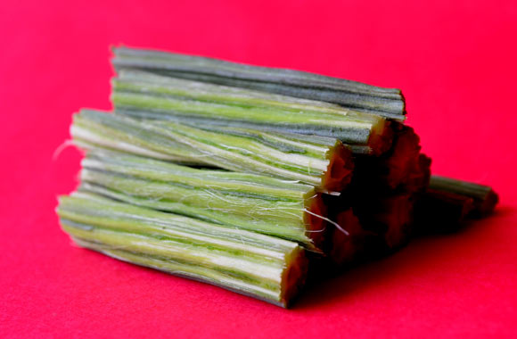 health benefits of vegetables drumstick