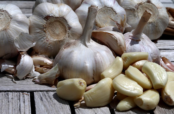 health benefits of vegetables garlic