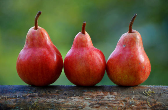health benefits of fruits pears