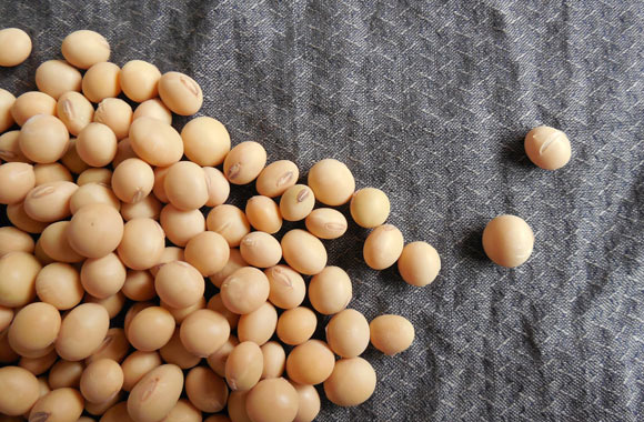 health benefits of grains soybeans