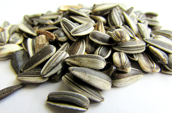 health benefits of seeds sunflower seed