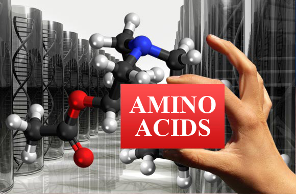 Amino Acids