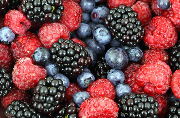 berry fruits