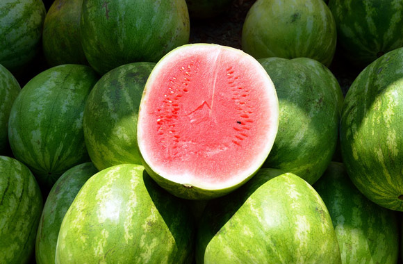 melons fruits